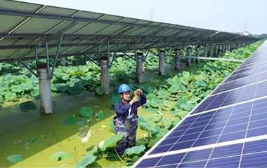 Qu'est-ce que la production d'électricité photovoltaïque agricole?